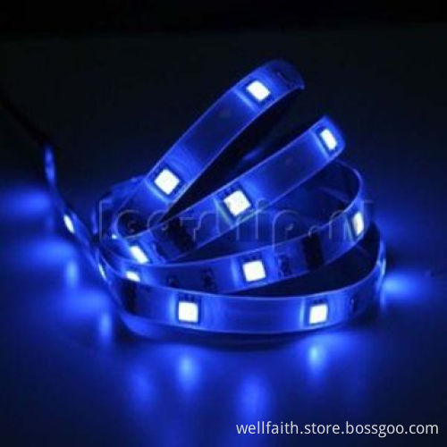 LED Copper Wire String Lights for Holiday